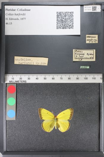 Media type: image;   Entomology 119659